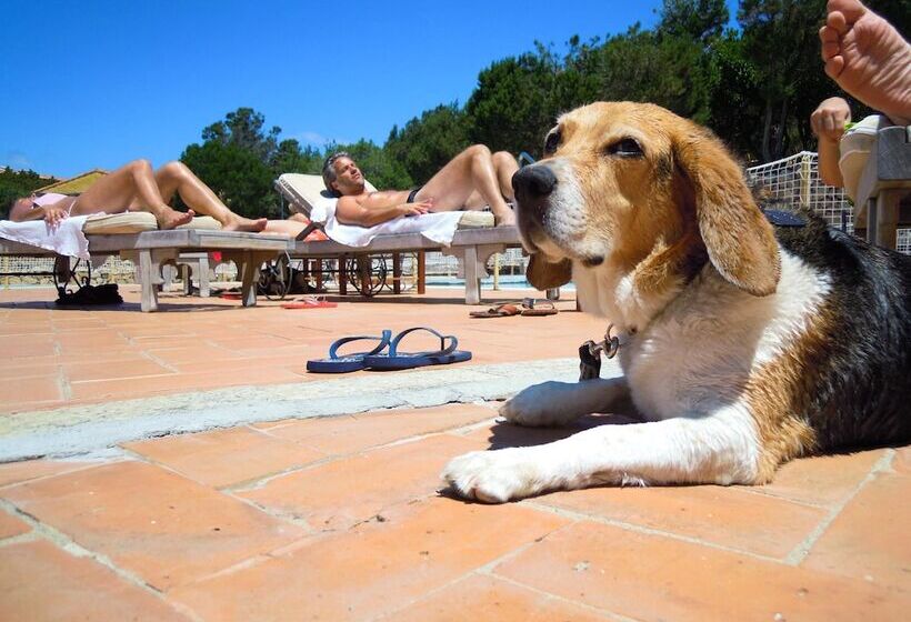 Residenza Capriccioli