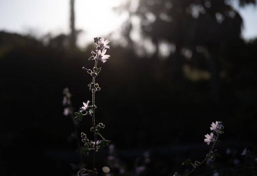 منتجع Quinta Do Mar  Country & Sea Village