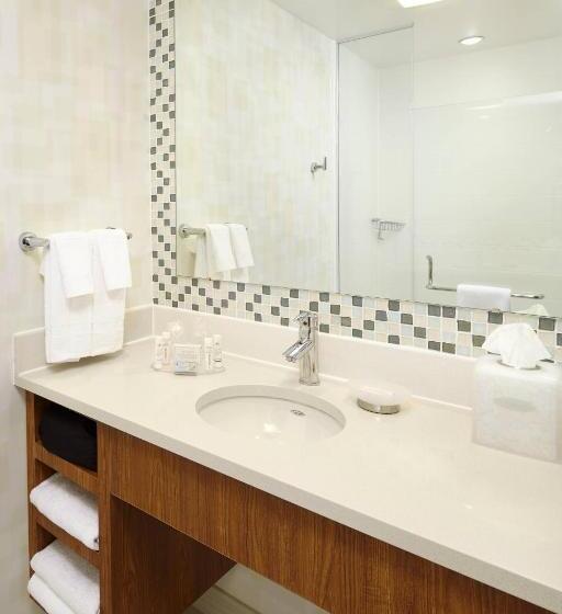 Springhill Suites Houston Intercontinental Airport