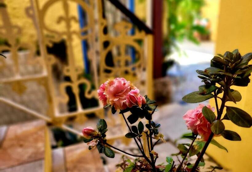 旅馆 Pousada Recanto Dos Nativo