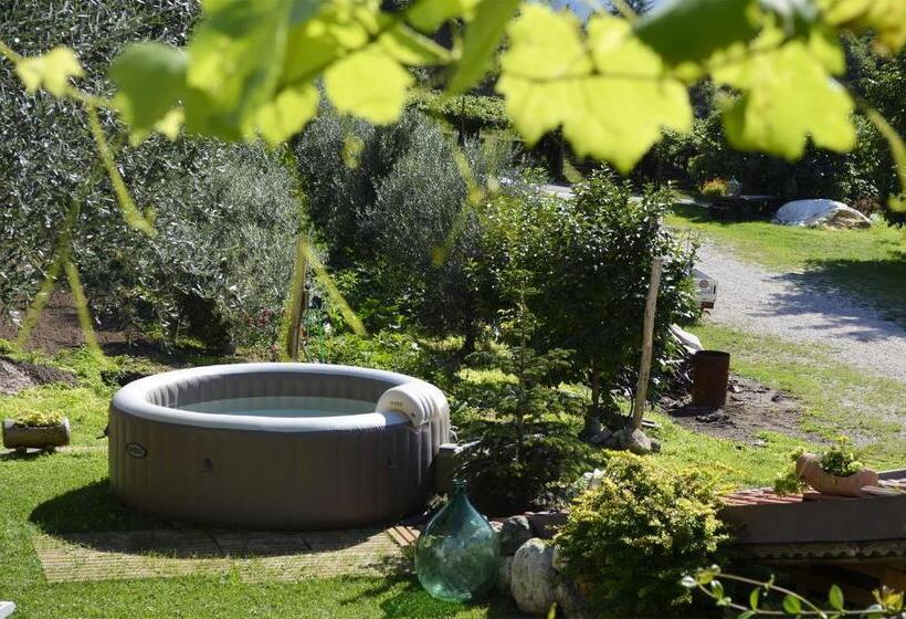 مبيت وإفطار Cà Ulivi