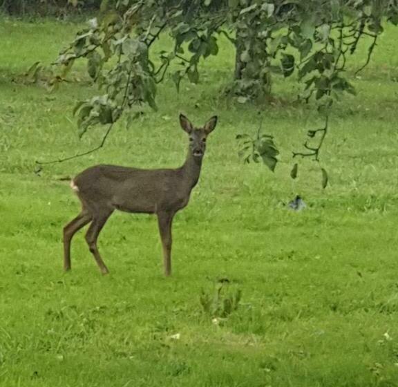 Bed and Breakfast Domaine Mon Doux Rêve