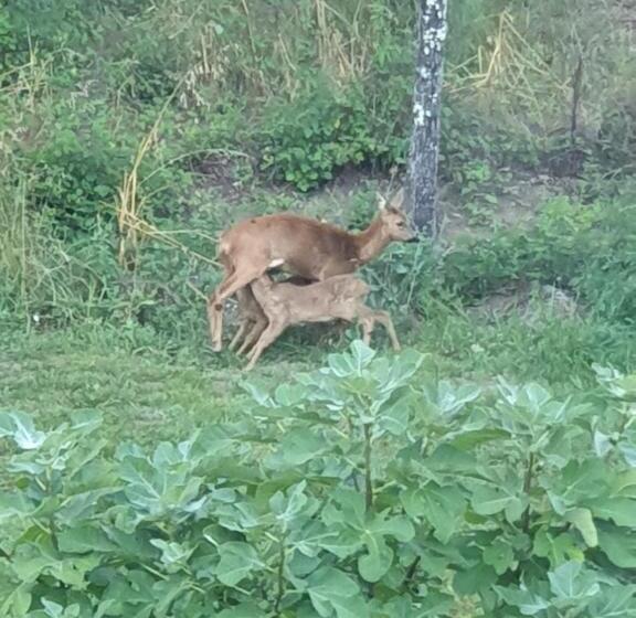 민박 Domaine Mon Doux Rêve