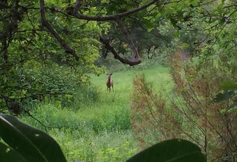 مبيت وإفطار Ferme Boisquillon