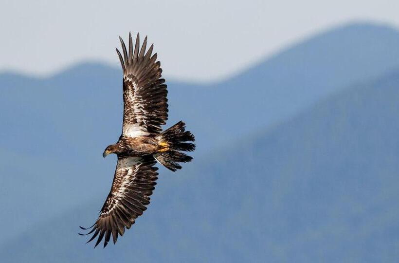 צימר Kirkview House