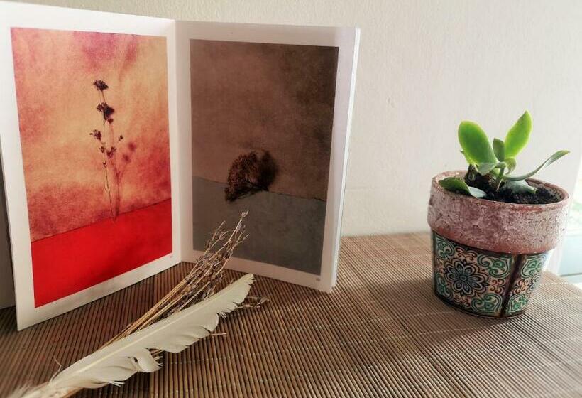 مبيت وإفطار Maison Shanti Chambre 1 à 3 Personnes Havre De Paix Pdj Bio