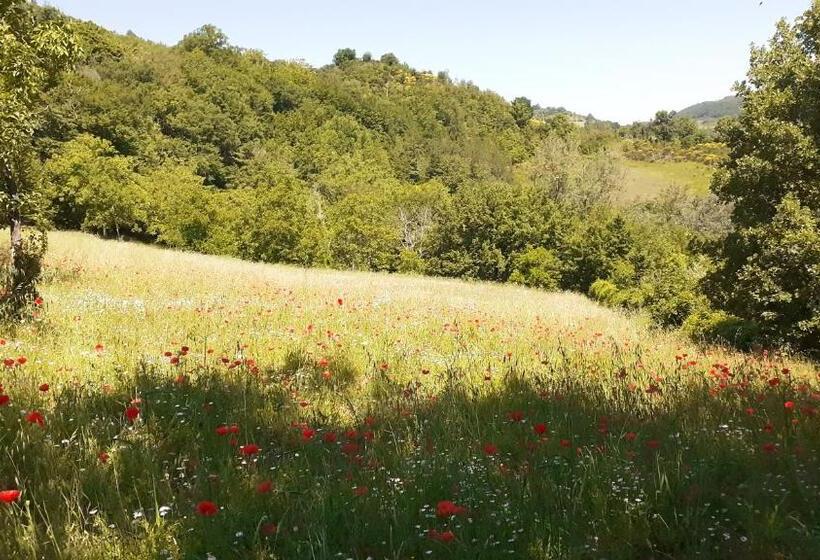 호텔 Agriturismo Marcofrate, A Retreat In The Nature