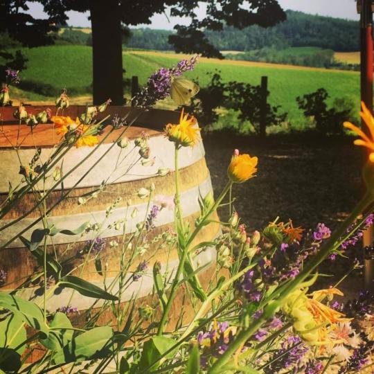 בית מלון כפרי Monfrà   Ospitalità Rurale, Vigneti E Cantina