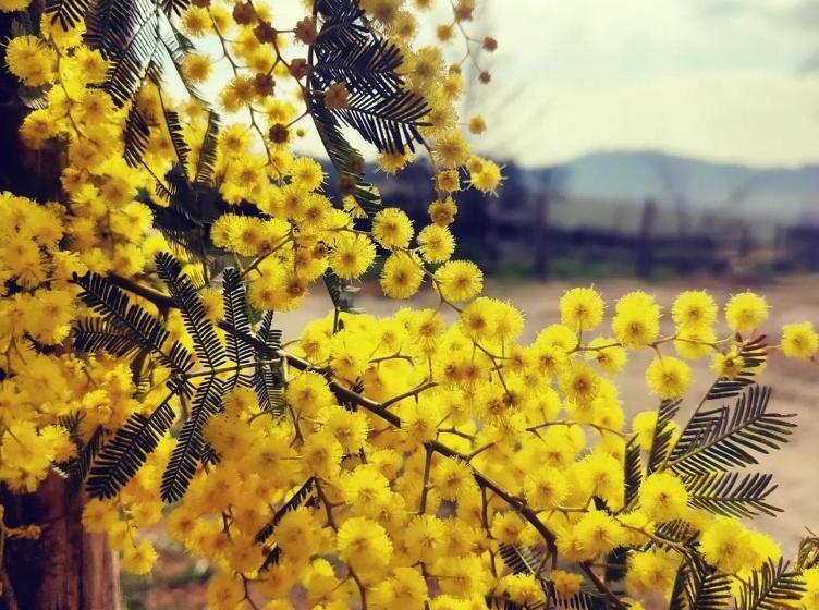 בית מלון כפרי Monfrà   Ospitalità Rurale, Vigneti E Cantina