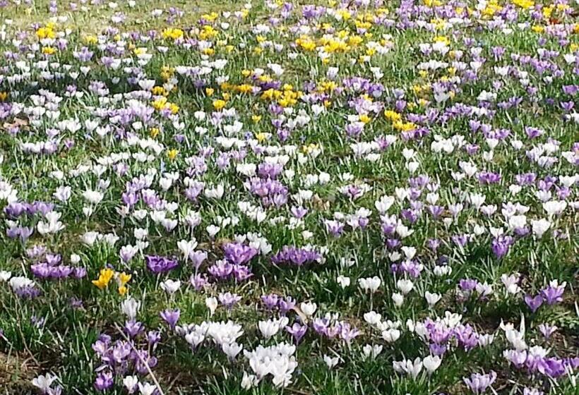 ホテル Oybiner Hof