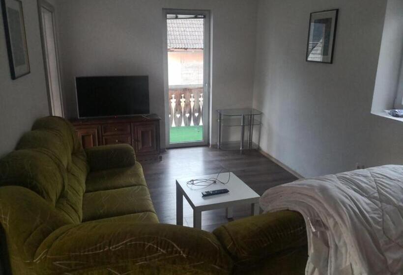 پانسیون Apartma Alja