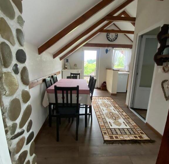 بنسيون Casa Moldovan