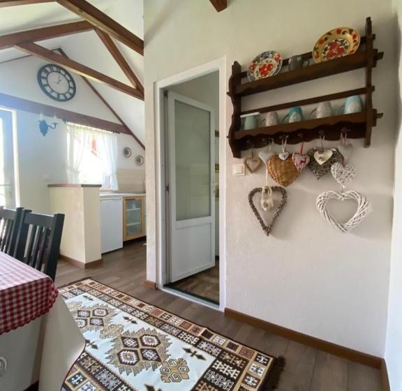 بنسيون Casa Moldovan