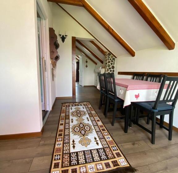 بنسيون Casa Moldovan