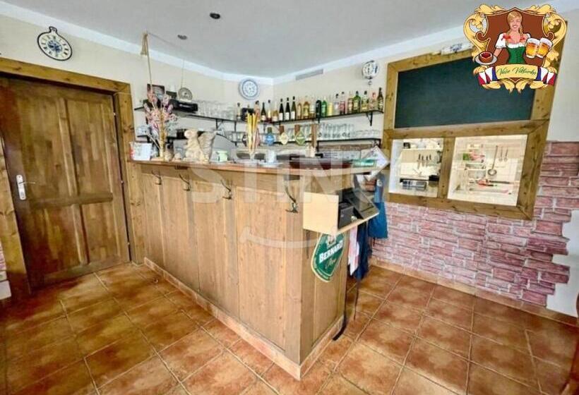 ペンション Krkonošská Chata Viktorka