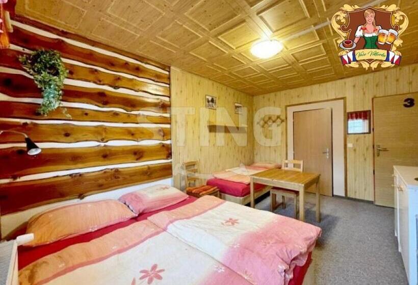 ペンション Krkonošská Chata Viktorka