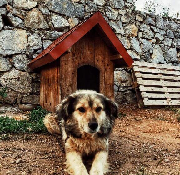 ペンション La Ograda