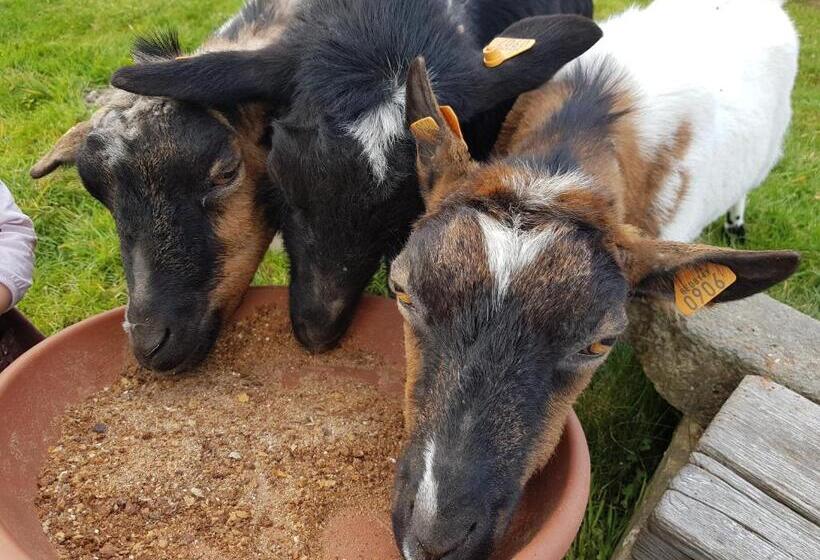 펜션 La Source D Arimont