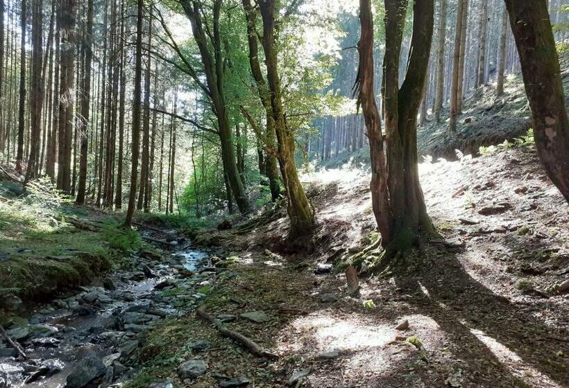 بنسيون Le Refuge D Engreux