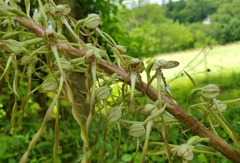 Пансион Les Box Chambre D Hôtes