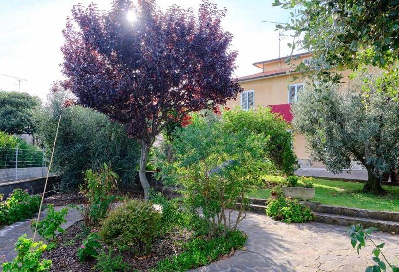 펜션 Olioealloro B&b