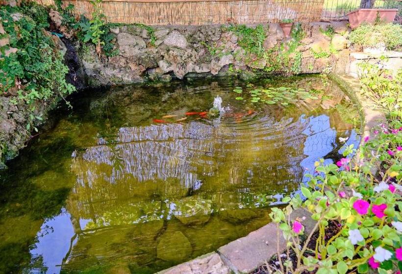 펜션 Olioealloro B&b