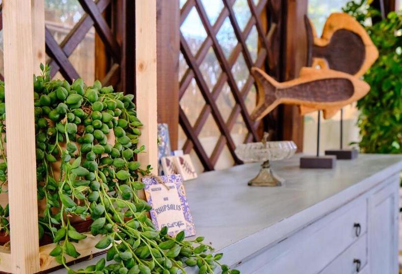 펜션 Olioealloro B&b