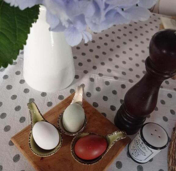 펜션 Olioealloro B&b