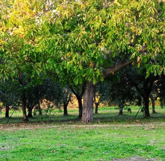 펜션 Olioealloro B&b