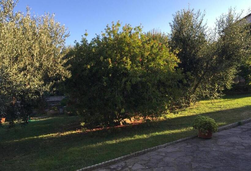 بنسيون Olioealloro B&b