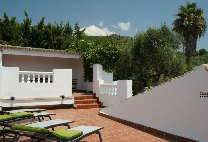 פנסיון One Life Málaga Retreat