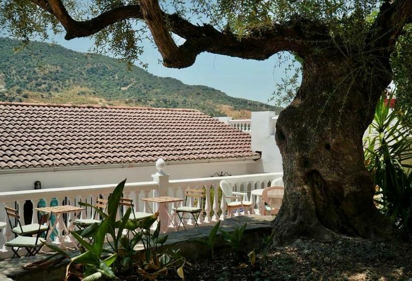 פנסיון One Life Málaga Retreat