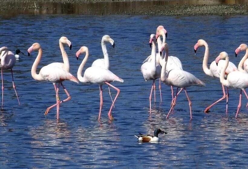 ペンション Villa Cerro E Mar