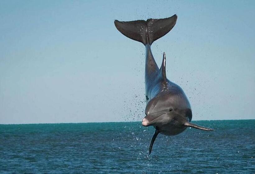 ペンション Villa Cerro E Mar