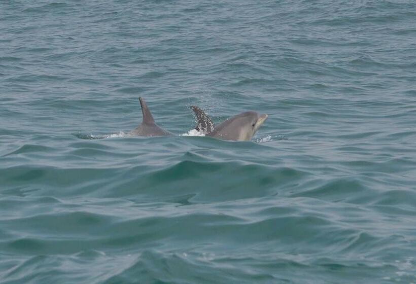 ペンション Villa Cerro E Mar