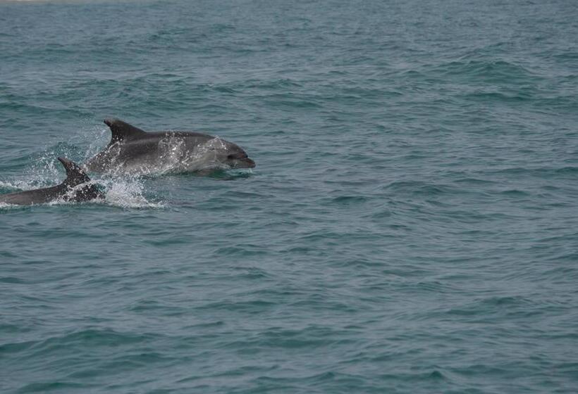 ペンション Villa Cerro E Mar