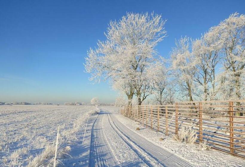 Vikens Bed And Breakfast