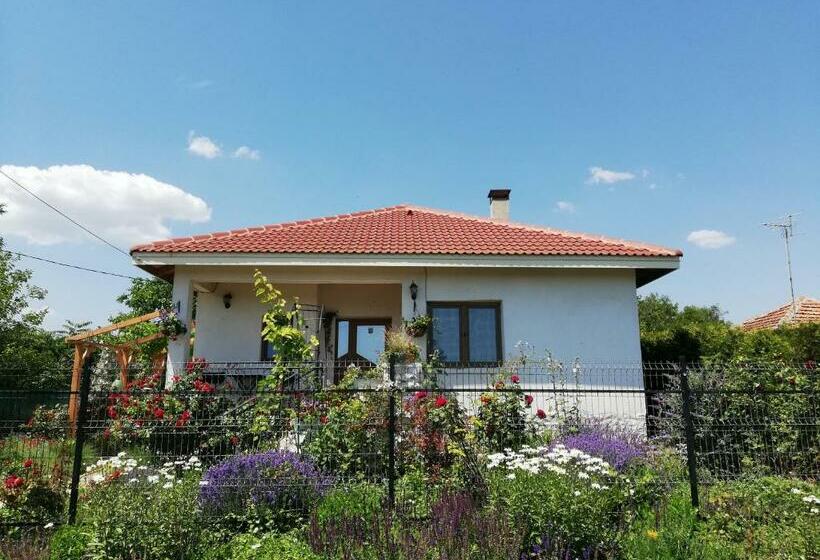 Общежитие House Albena