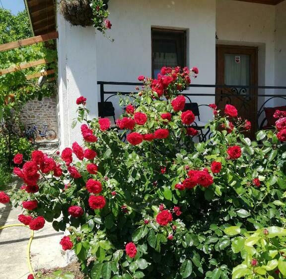 Общежитие House Albena