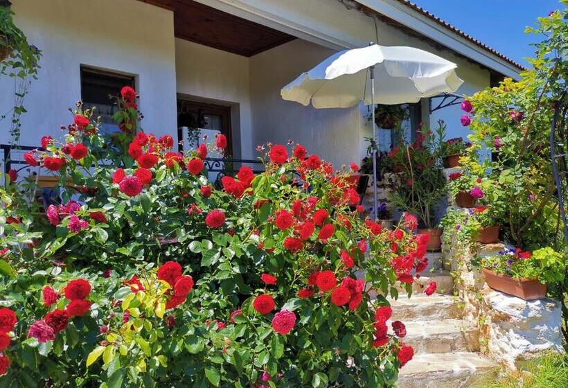 Общежитие House Albena