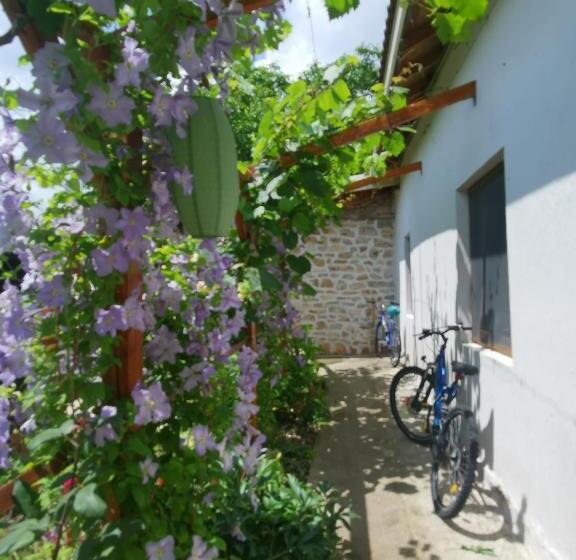 Общежитие House Albena