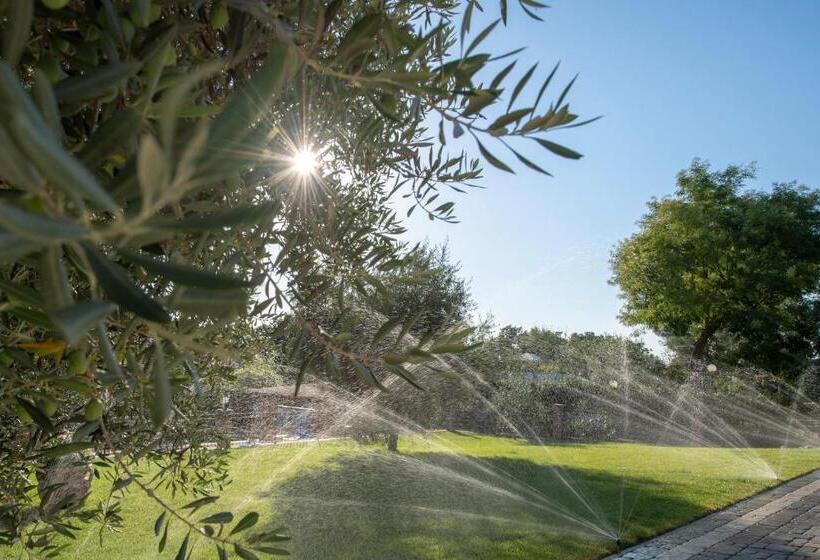 B&b Roman Country Villa