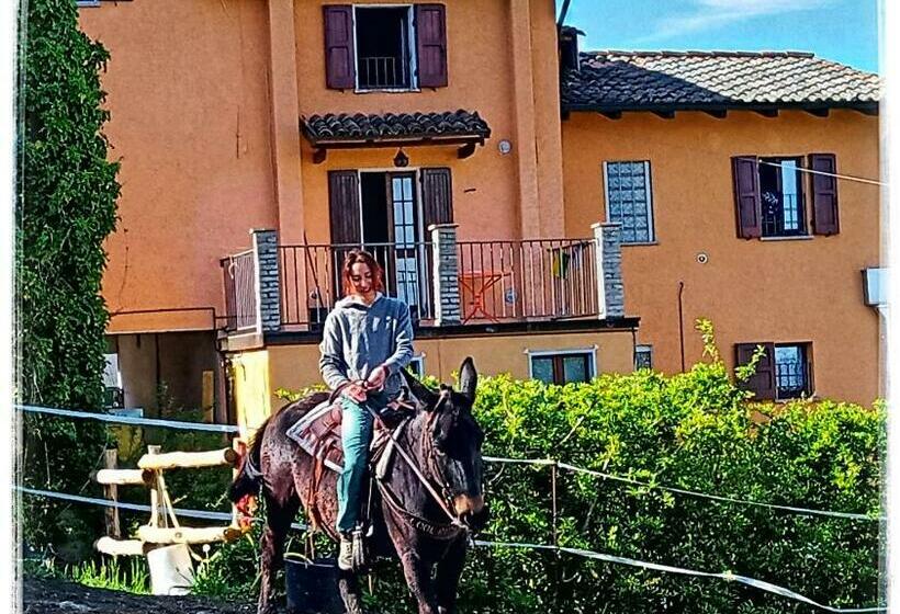 Bed And Breakfast Balli Coi Lupi