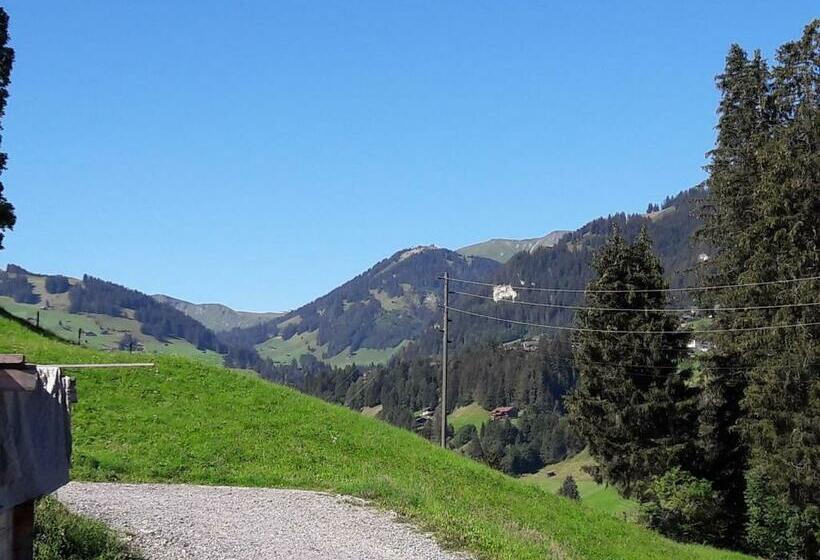 ベッドアンドブレックファースト Ferien In Der Bergwelt Von Adelboden