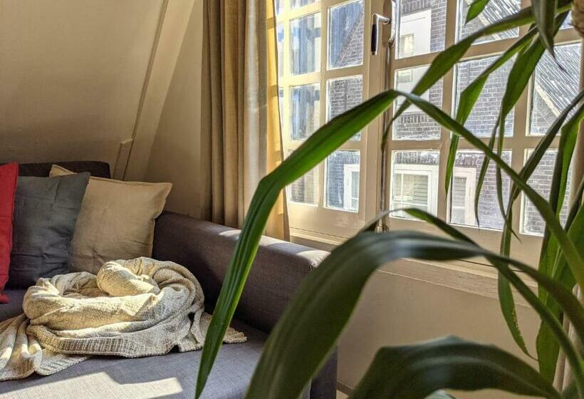 تختخواب و صبحانه Storestay Damsquare