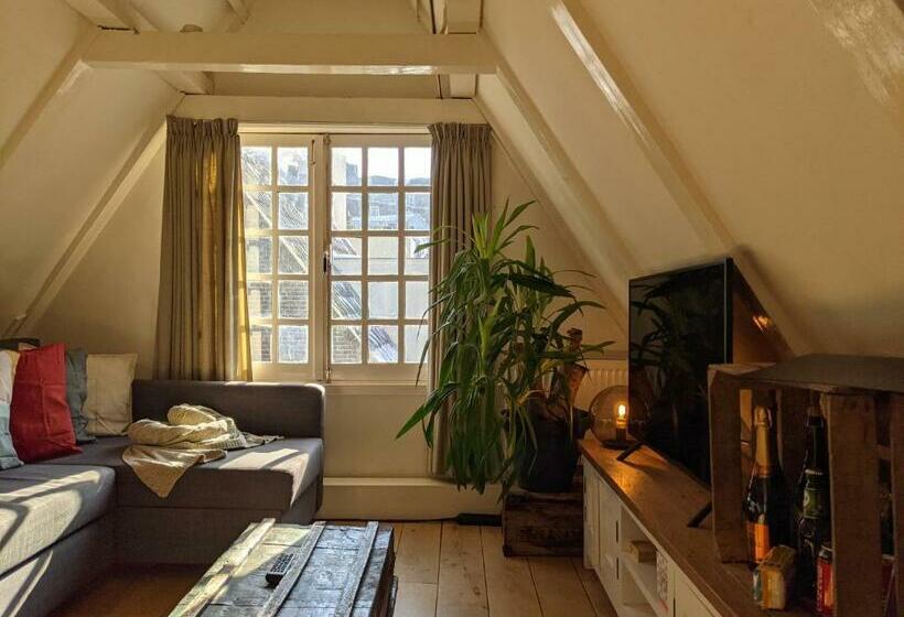 تختخواب و صبحانه Storestay Damsquare