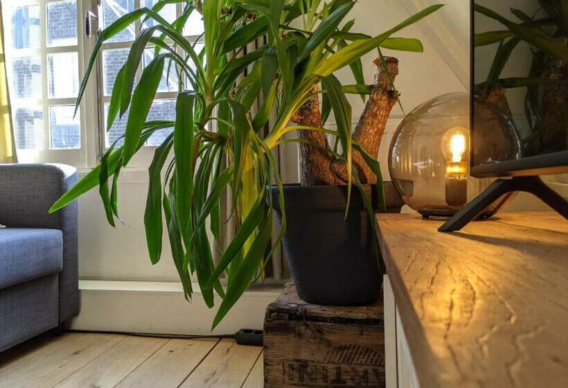 تختخواب و صبحانه Storestay Damsquare