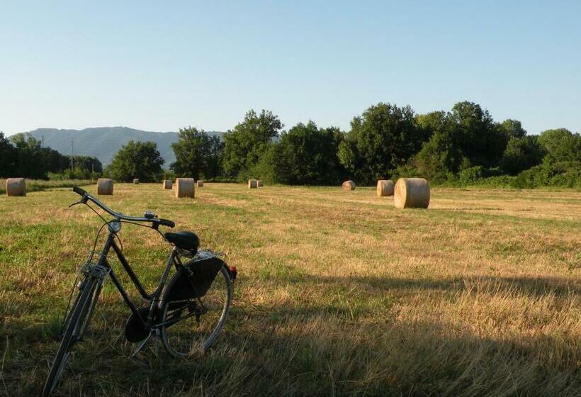 مبيت وإفطار Villa Galgani