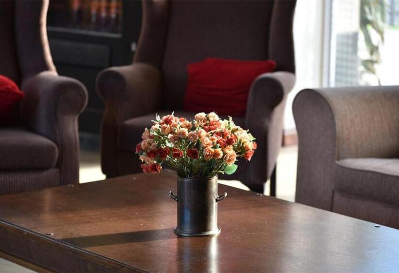 호텔 Regal Inn Pmburg