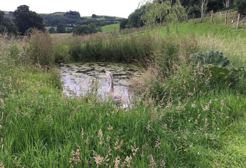 Jacquie S B&b Dumfries Room With A View Hot Tub